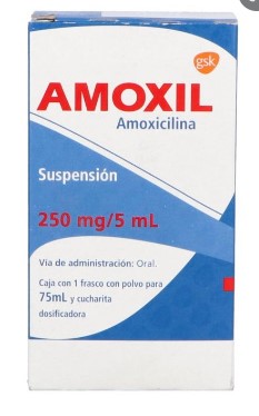 AMOXIL (AMOXICILINA) SUSP 250MG 75ML